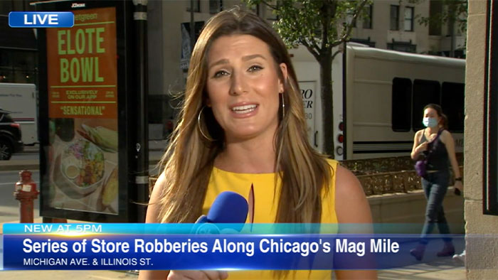 Mag Mile robbery crew stole purses worth $43K